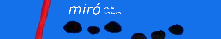 MIRÓ Audit Services